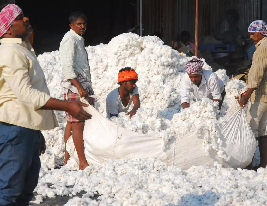 संपूर्ण महाराष्ट्रातील आजचे कापुस भाव