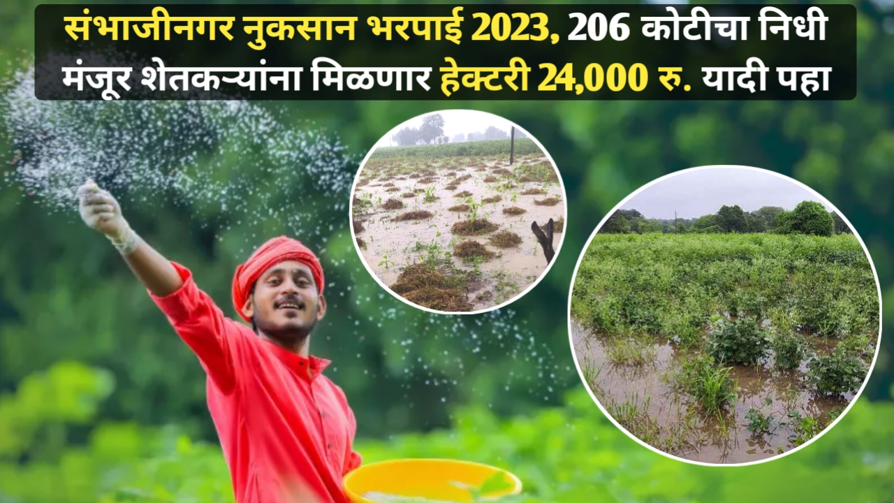 Sambhajinagar Unseasonal Rain Compensation 2023