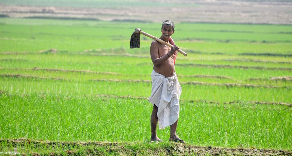 75 टक्के पिक विमा 2024- 75% crop insurance 2024